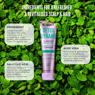 Champú Detox Dynamo 