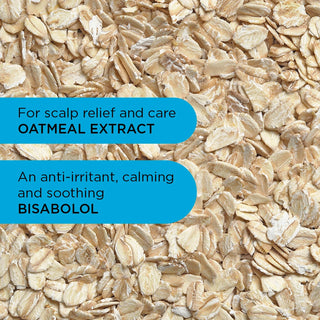 Champú sin fragancia Care Taker - 250ml 