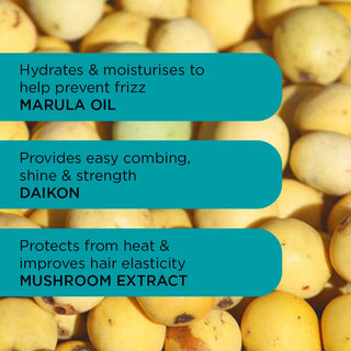 Paquete de Inicio Anti-Frizz 